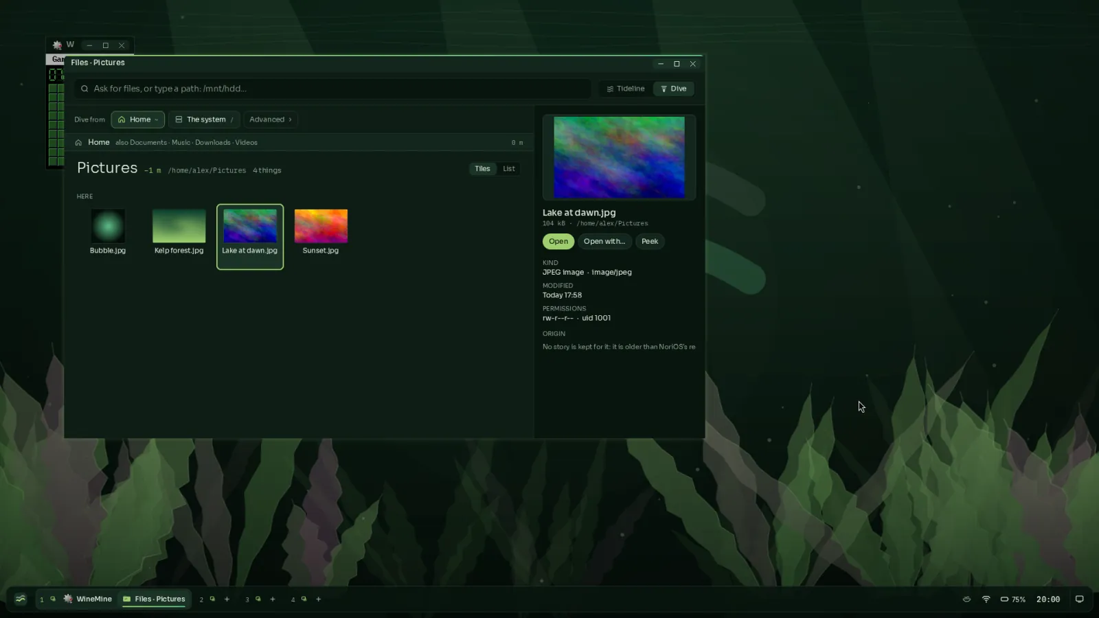 Files with the Pictures folder open and a picture previewed